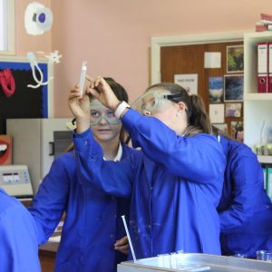 students working in the science classroom